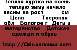 Теплая куртка на осень-теплую зиму-начало весны на рост 110-116 см. › Цена ­ 500 - Тверская обл., Бологое г. Дети и материнство » Детская одежда и обувь   
